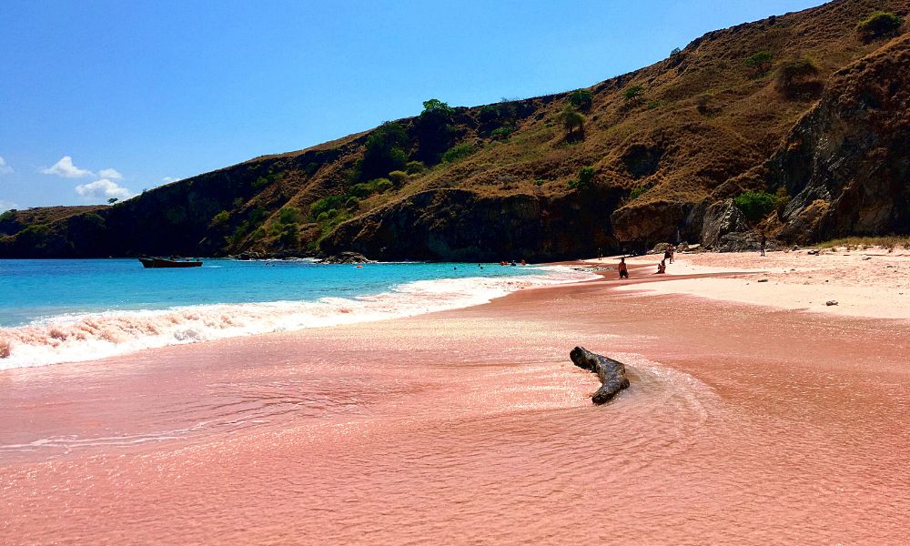 Overnight Komodo Trip 2 Days 1 Night
